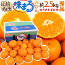 【送料無料】長崎産 西海 ”味まるみかん” 秀品 約2.5k...