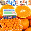 長崎 西海 ”味まるみかん” 秀品 中玉Mサイズ 約3kg 最低糖度12度保証【予約 11月下旬以降】 送料無料 3,980円