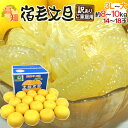 【送料無料】高知産 訳あり土佐文旦 ”宿毛文旦” 約8〜10kg 3L〜大サイズ【予約 2月下旬以降】【楽ギフ_のし宛書】 【送料無料】高知産 訳あり土佐文旦 ”宿毛文旦” 約8〜10kg 3L〜大サイズ【予約 2月下旬以降】【楽ギフ_のし宛書】
