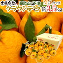 【送料無料】和歌山県下津産 ”樹上完熟 クラウンデコ” M/Lサイズ 約3.5kg【予約 3月以降】
