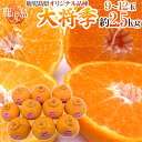 【送料無料】鹿児島産 ”デコポン 大将季” 秀品 9〜12玉...