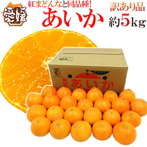 【送料無料】愛媛産 紅まどんなと同じ品種 ”あいか” 訳あり 約5kg 大きさおまかせ【予約 11月末以降】