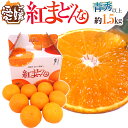 【送料無料】愛媛産 ”紅まどんな” 青秀品以上 8〜10玉前...