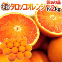 【送料無料】愛媛県 ”タロッコオレンジ” 訳あり 約2kg 大きさおまかせ ブラッドオレン