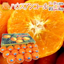 【送料無料】大分県 ”ハウスアンコールオレンジ” 秀品 12~18玉前後 約2.5kg(風袋込) 化粧箱【予約 3月下旬以降】