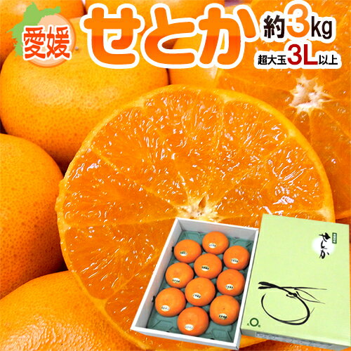 【送料無料】愛媛産 ”せとか” 超大玉3Lサイズ以上 約3kg 化粧箱【予約 1月末以降】【楽ギフ_包装】