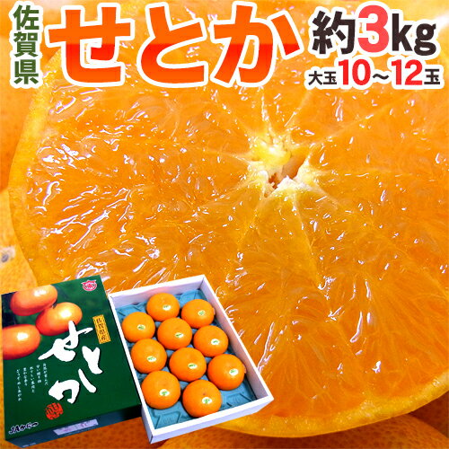 【送料無料】佐賀産 ”せとか” 大玉10〜12玉 3kg 化粧箱入り【予約 1月中旬以降】【楽ギフ_包装】