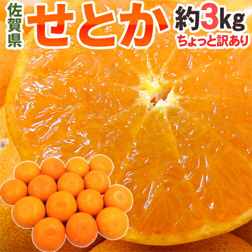 【送料無料】佐賀産 ”せとか” 大きさおまかせ 約3kg ちょっと訳あり【予約 1月下旬以降】