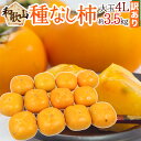【送料無料】和歌山産 ”たねなし柿” 訳あり 超大玉4L 1...