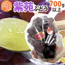 岡山産 ”紫苑ぶどう” 秀品 大房 1房 約700g以上【予約 10月下旬~12月】