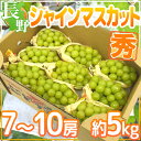 【エントリーでポイント5倍】長野産 ”シャインマスカット” 秀品 7?10房 約5kg【予約 9月末以降】【楽ギフ_包装】