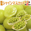 【エントリーでポイント5倍】【送料無料】”完熟シャインマスカット” 3?5房 約2kg 秀品 産地厳選【予約 9月以降】【楽ギフ_包装】