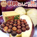 【送料無料】長野産 まっ黒りんご ”秋映 あきばえ” 24〜36玉前後 約10kg 訳あり【予約 10月以降】