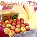 【送料無料】長野産 ”シナノスイート” 訳あり 24〜36玉 約10kg りんご【予約 10月中下旬以降】