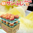 【送料無料】福島産 ”蜜入りサンふじ” 訳あり 20〜40玉...