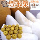 【送料無料】”豊水梨” 訳あり 大きさおまかせ 約