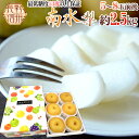 【送料無料】長野産 秀品 ”南水梨” 化粧箱 大玉5〜8玉 約2.5kg【予約9月下旬〜10月】【楽ギフ_包装】