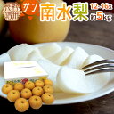 【送料無料】長野産安曇野 ”サン南水” 大玉10〜16玉 約5kg【予約 10月以降】【楽ギフ_包装】