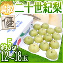 【送料無料】【予約】鳥取産”二十世紀梨”優品 大玉12?18玉 約5kg シャクシャク、爽やか!(8月末頃から順次発送)【楽ギフ_包装】