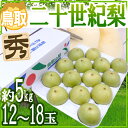 【送料無料】【予約】鳥取産”二十世紀梨”秀品 大玉12?18玉 約5kg シャクシャク、爽やか!(8月末頃から順次発送)【楽ギフ_包装】