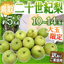 【送料無料】【予約】鳥取産 訳あり”二十世紀梨” 大玉限定 10?14玉 約5kg シャクシャクジューシーで甘?い!(8月末頃から順次発送)【楽ギフ_包装】