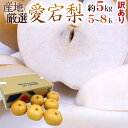 和梨の激安通販 訳あり食品の販売情報システム