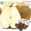 【送料無料】山形産 ”ゴールドラフランス” 秀品 5〜9玉前後 約2.5kg【予約 11月下旬〜12月】【楽ギフ_包装】 ランキングお取り寄せ