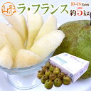 【送料無料】山形産 ”ラフランス” 秀品 10〜18玉前後 約5kg 産地箱 ラ・フランス 洋梨【予約 11月以降】【楽ギフ_包装】