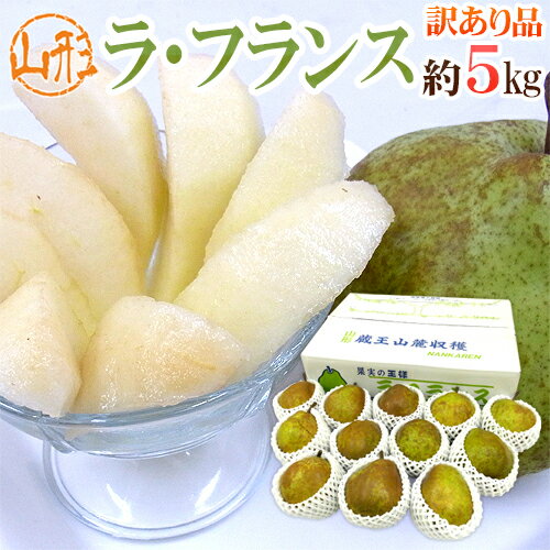【送料無料】山形産 訳あり ”ラフランス” 産地箱 大きさおまかせ 約5kg ラ・フランス 洋梨【予約 10月下旬】【楽ギフ_のし宛書】 ランキングお取り寄せ