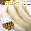 【送料無料】産地厳選”ゼネラル・レクラーク”秀品