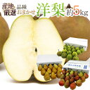 【送料無料】”洋梨” 秀品 約5kg 品種おまかせ 大きさお...