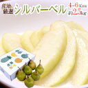 【送料無料】”シルバーベル” 秀品 4〜6玉前後 約2.5k...
