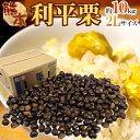 【送料無料】【予約】熊本県 ”利平栗” 約10kg 2L 秀品 甘くて大粒、「栗の王様」(9月下旬?10月発送予定)【楽ギフ_包装】