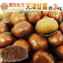 【送料無料】焼きたて・炒りたてを当日発送! ”天津甘栗” 約3kg こだわり産地限定!採れたて新栗♪【予約 10月中旬以降】【楽ギフ_包装】