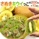 【送料無料】香川県 ”さぬきキウイっこ” 約200g×《10pc》(1pcあたり6〜11玉前後)【予約 12月以降】
