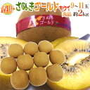 【送料無料】香川県 ”さぬきゴールド” 秀品 超大玉4L以上 9〜11玉 約2kg【予約 10月下旬以降】