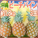 【送料無料】沖縄産 ”ピーチパイン” 2?4玉 約1.8kg 桃や花に例えられる華やかな甘い香り♪【楽ギフ_包装】
