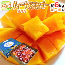 【送料無料】メキシコ産 ”ヴィーナス(VENUS)マンゴー” 大玉10〜16玉 約5〜6kg 航空