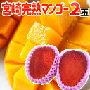 【緊急スポット】【送料無料】”宮崎マンゴー” 秀品 2玉 完熟マンゴー【2週間以内の発