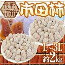 【送料無料】長野・南信州産 ”市田柿” 約2kg L〜3L【予約 1月発送】【楽ギフ_包装】 ランキングお取り寄せ