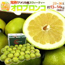 【送料無料】アメリカ・カリフォルニア産 ”完熟オロブロンコ” 大玉 23〜36玉 約14kg(風袋込)【予約 1月中旬以降】