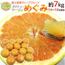 【送料無料】【予約】フロリダ産 最高峰グレープフルーツ ”プリティーウーマン めぐみ” レイルビー種 14?18玉前後 約7kg (1月下旬以降の発送)【楽ギフ_包装】