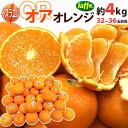 【送料無料】”オア オレンジ” 32〜36玉前後 約4kg イスラエル産 オアマンダリン【予約