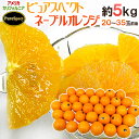 カリフォルニア産 プレミアムオレンジ ”ピュアスペクトネーブルオレンジ” 20〜35玉前後 約5kg 送料無料
