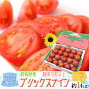 【送料無料】【早期発送】父の日ギフト ”ブリックスナイントマト” 約1kg+ひまわり生花1本 【予約 6月1日〜6月9日お届け予定】【楽ギフ_包装】