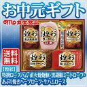 【送料無料】お中元ギフトセット ”丸大食品 煌彩 (MV-455)” ( 7月より順次発送)