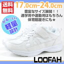 スニーカー ローカット 子供 キッズ ジュニア レ