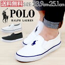ポロ ラルフローレン スニーカー スリッポン 靴 POLO RALPH LAUREN SETH SLIP-ON 997155/RFS10159