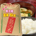 29年 新米 魚沼産コシヒカリ 玄米 5kg 一等