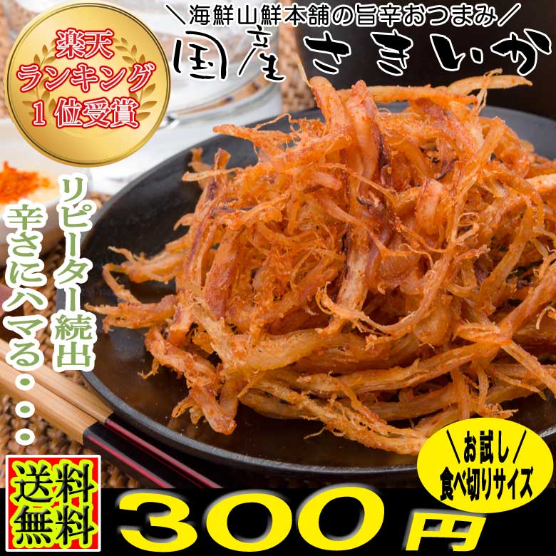 さきいか（スルメイカ） おつまみ 珍味 お試し食べ切りサイズ 300円ポッキリ 送料無料 酒の肴 ビ...:auc-ky-honpo:10000087